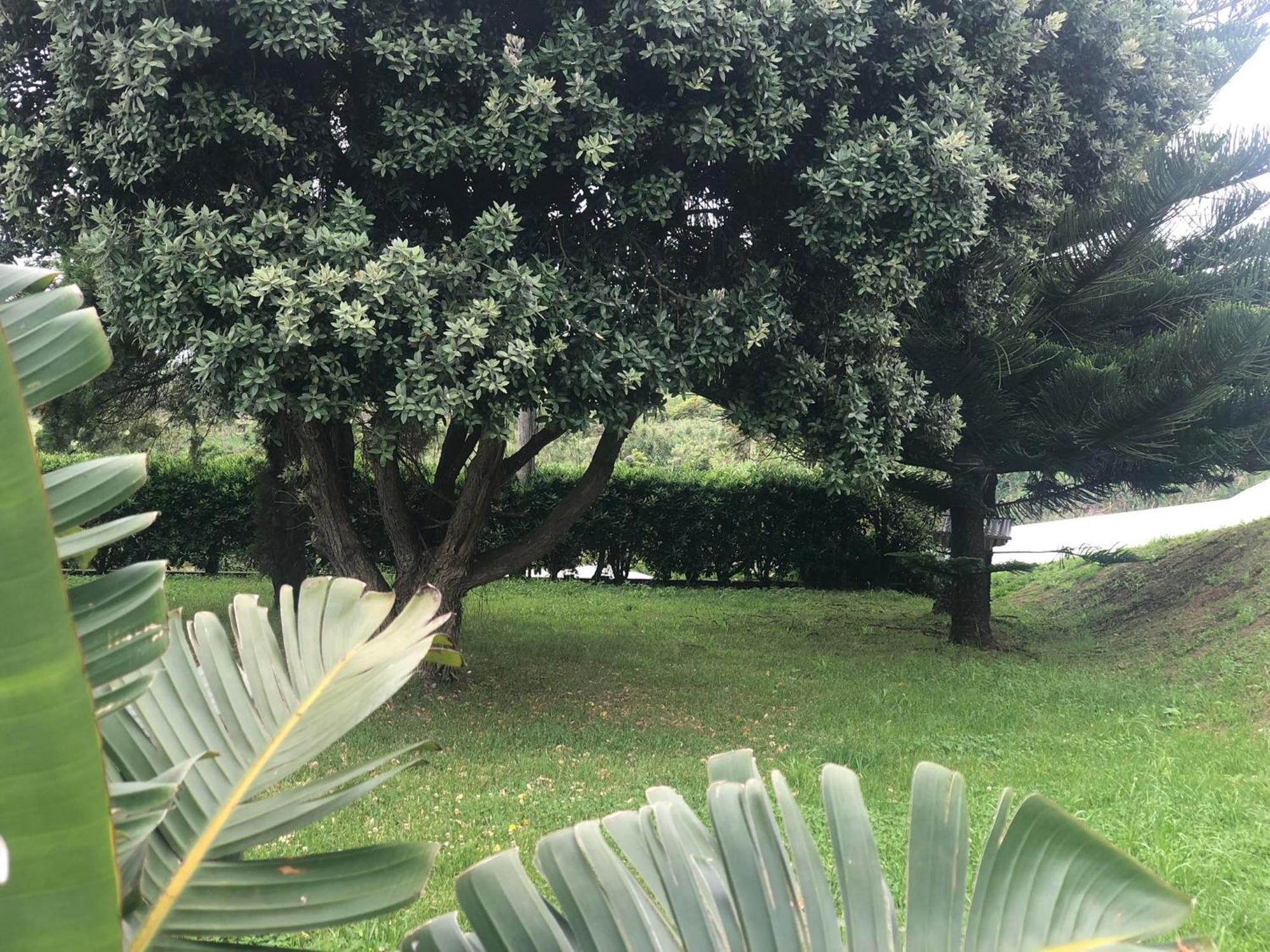 Vivenda Flor Villa Ponta Delgada Buitenkant foto
